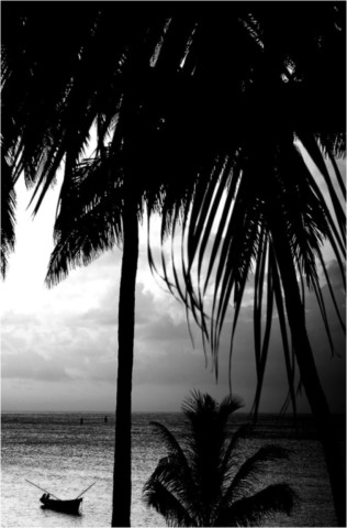 Rodrigues