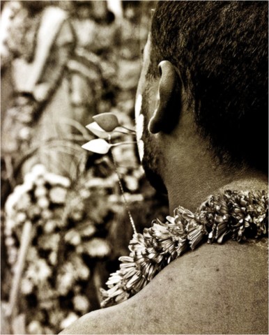 Kavadi 2011