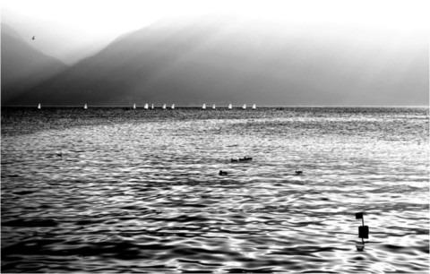 Suisse