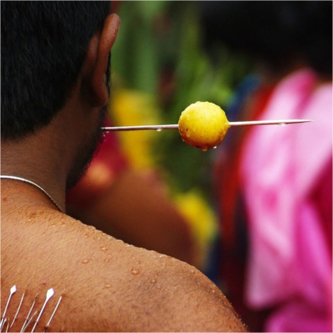 Kavadi 2015