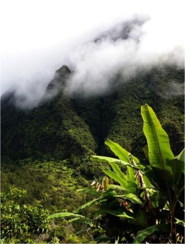 La Réunion