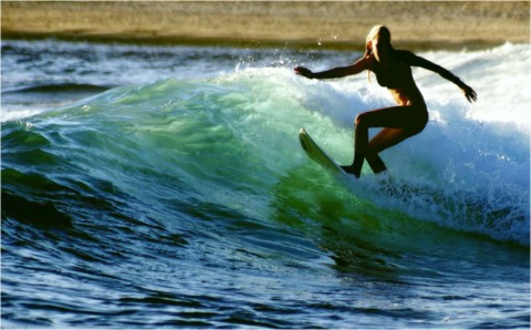 Surf