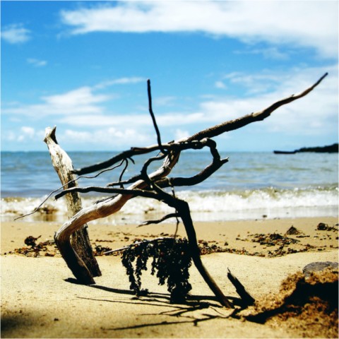 Rodrigues