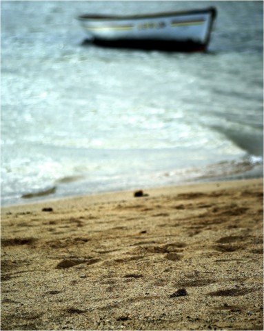 Rodrigues