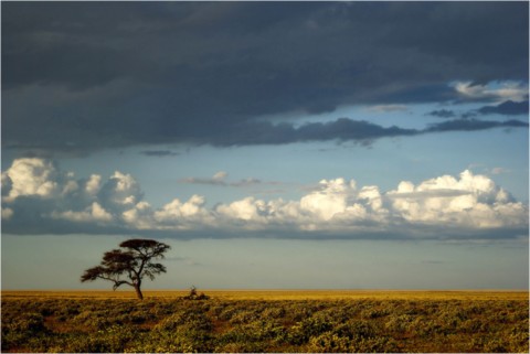 Namibie