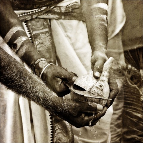 Kavadi 2012
