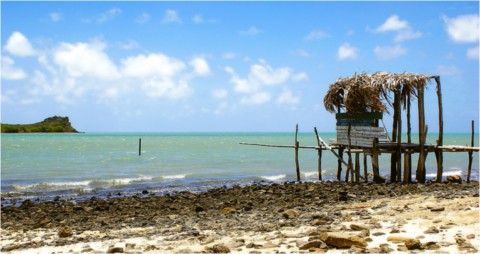 Rodrigues