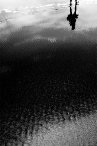 Humain