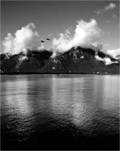 Suisse