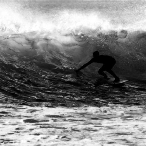 Surf