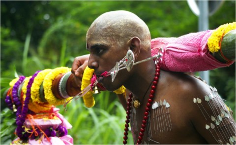 Kavadi 2013
