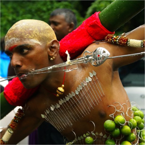Kavadi 2011