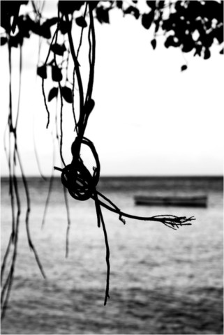 Rodrigues