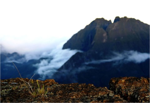 La Réunion