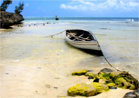 Rodrigues
