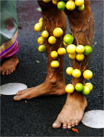 Kavadi 2015