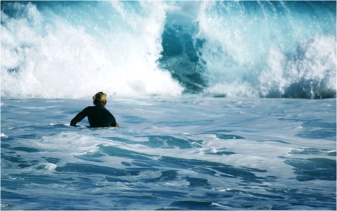 Surf