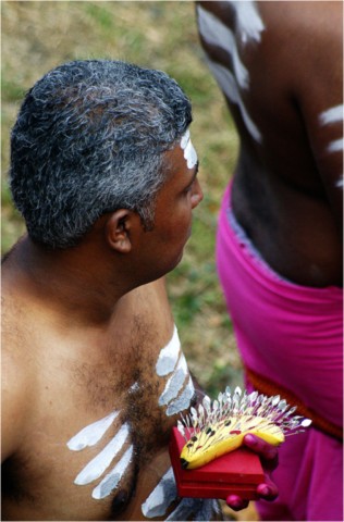 Kavadi 2013
