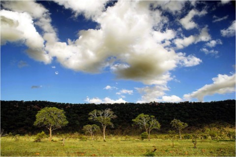 Afrique du Sud