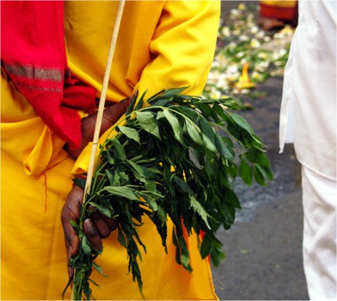 Marche sur le feu 2009