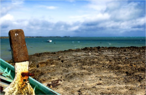 Rodrigues