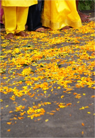 Marche sur le feu 2009