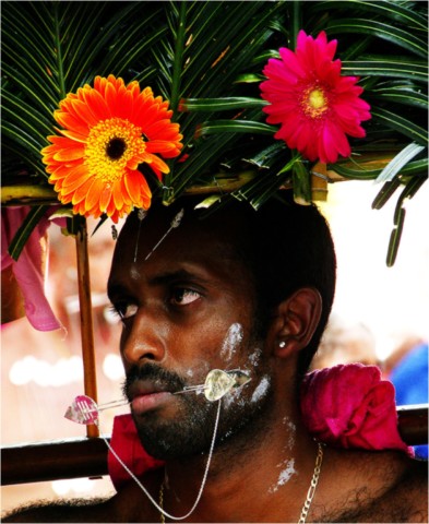 Kavadi 2015