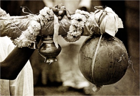 Kavadi 2014