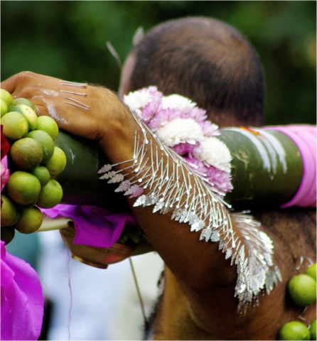 Kavadi 2012