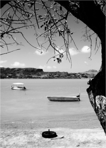 Rodrigues