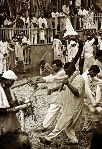 Marche sur le feu 2009