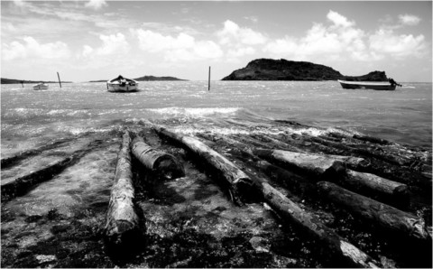 Rodrigues