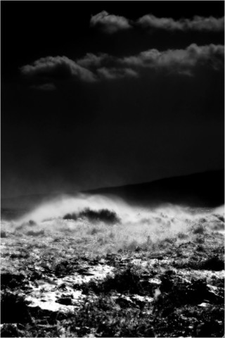 Oceanic