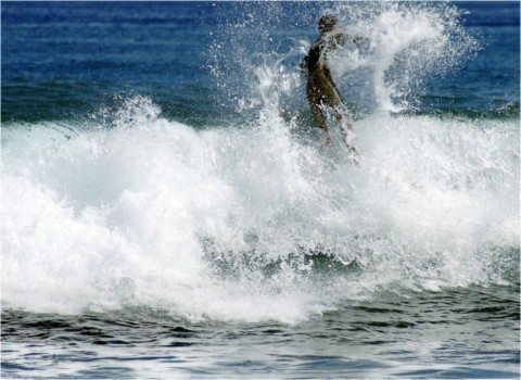Bodyboard