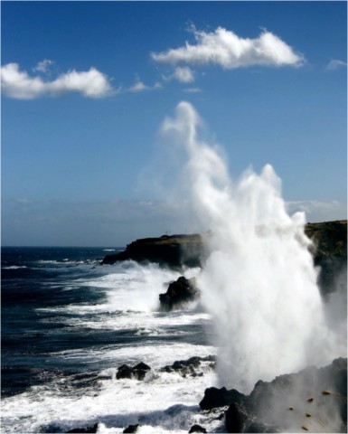 Oceanic