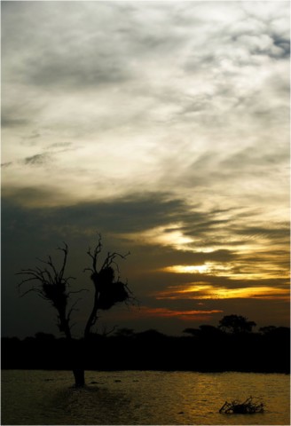 Afrique du Sud