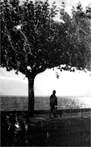 Humain