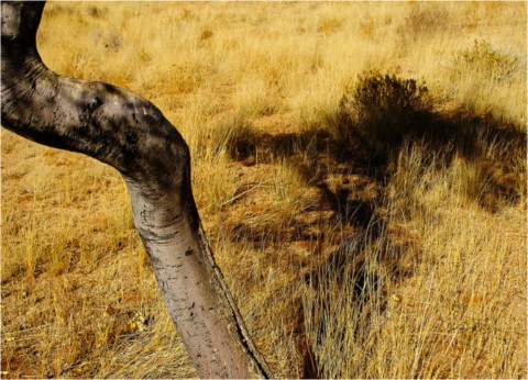 Namibie