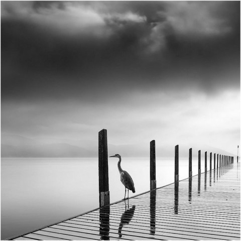 George DIGALAKIS