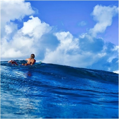 Morgan MAASSEN