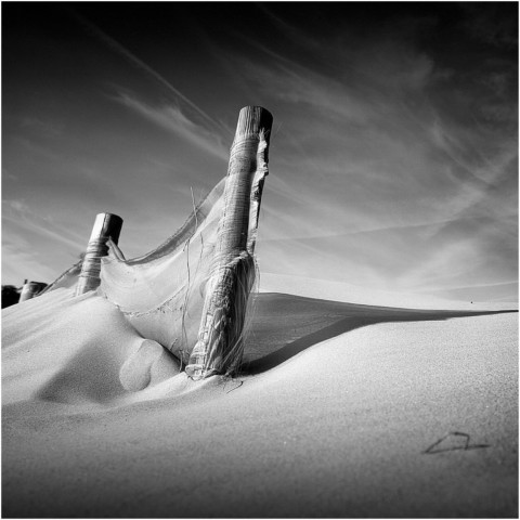 Bruno MERCIER