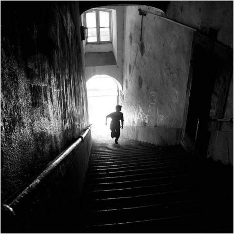 Rui PALHA